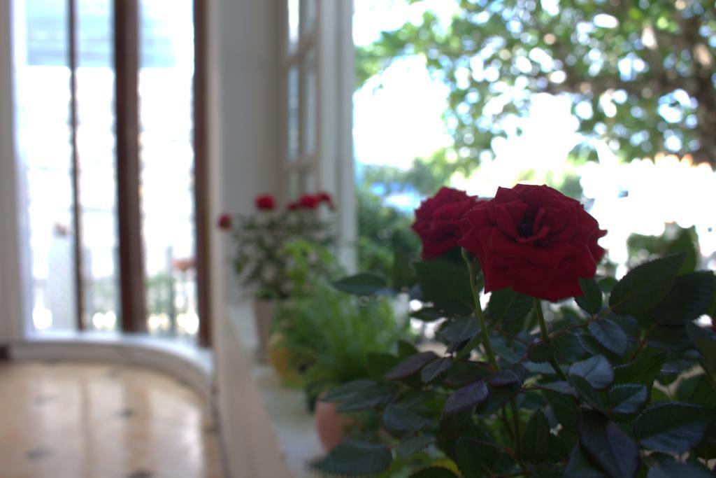 Des Ami Villa Βουνγκ Τάου Εξωτερικό φωτογραφία